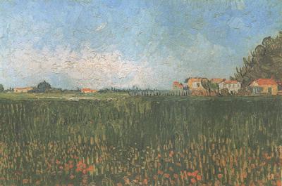 Vincent Van Gogh Farmhouses in a Wheat Field near Arles (nn04) Sweden oil painting art